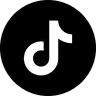 TikTok Ads
